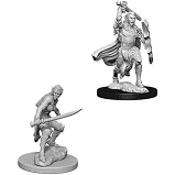 (image for) Nolzur's Marvelous Miniatures: Elf Female Fighter